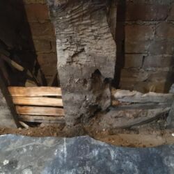 Remnants of the original laths were still in place, but in poor condition ( right side). New oak laths shown being fixed in an original timber groove (left side).