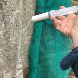 Photo shows lime being grouted into primed cracks. On the left, cotton wool and clay are used to seal adjacent cracks which also helps to monitor grout flow, force it vertically and to fill all the voids. All sections were pinned together or back to the main stonework. Initially it was necessary to pin using resin as an immediate bond was required. But where possible a lime putty was used in conjunction with copper threaded dowels.