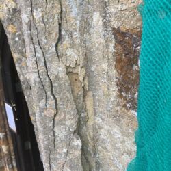 The stone was very friable, delaminated and on the verge of collapse.